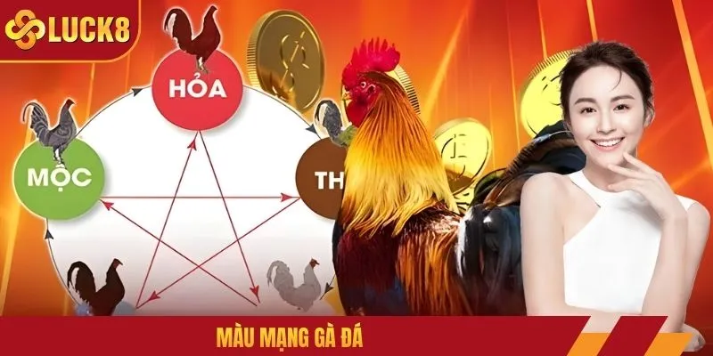 Màu Mạng Gà Đá: Cược Theo Phong Thủy, Cơ Hội Thắng Lớn